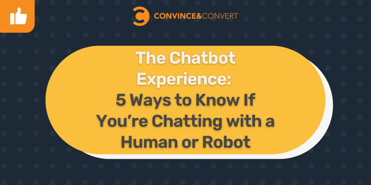 5 Strategies to Know If You are Chatting with a Human or Robotic
