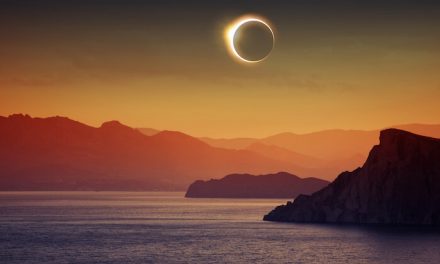 The Best Time to Post on TikTok (+How It Compares to Insta)