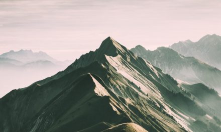 Methods For Profitable Products Launches