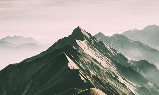 Methods For Profitable Products Launches