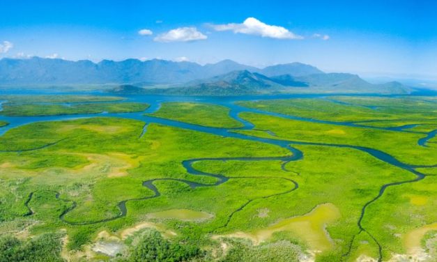 19 Must-Have Marketing Channels to Try Now (+Tips to Make Them Work for Your Business)