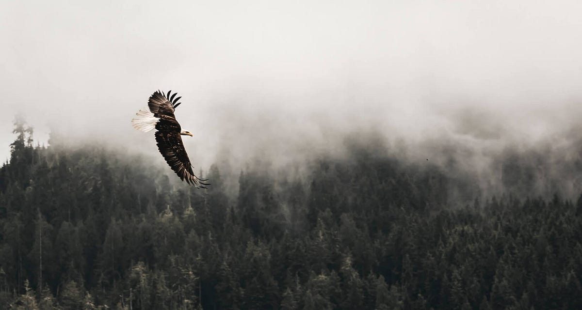 From Merchandise Administration Back again to Technique | by Noa Ganot | Jul, 2023