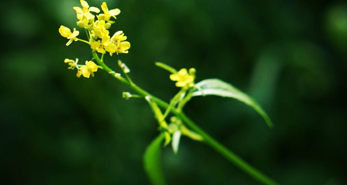 Maternity Leave Issues for Professionals: Functional Techniques and Lesson Uncovered | by Keren Koshman | Jun, 2023