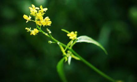 Maternity Leave Issues for Professionals: Functional Techniques and Lesson Uncovered | by Keren Koshman | Jun, 2023