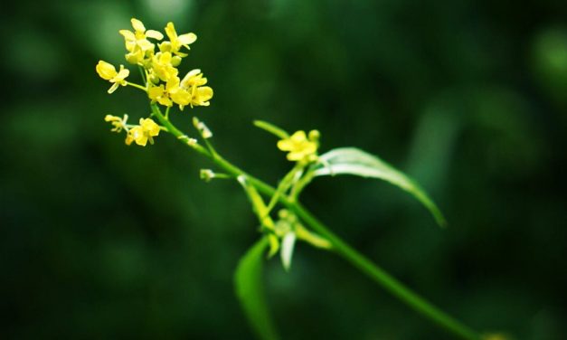 Maternity Leave Issues for Professionals: Functional Techniques and Lesson Uncovered | by Keren Koshman | Jun, 2023