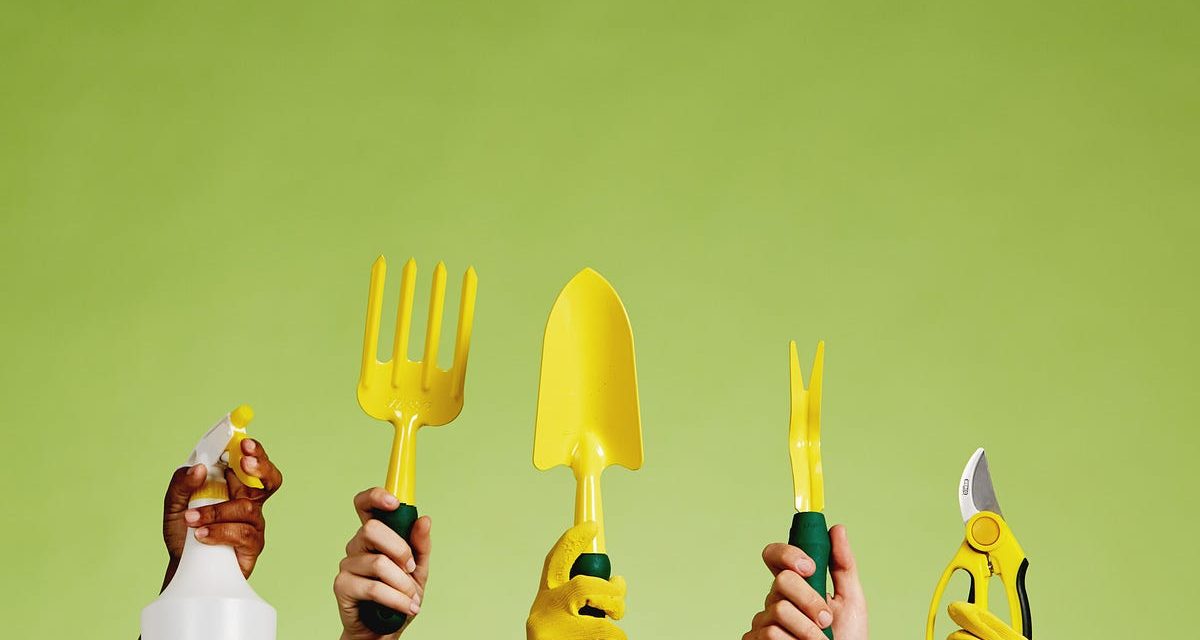 Purchaser-Generated Advertising and marketing: Resources You Can Use to Mature Your Product or service | by Max Shash | Jul, 2023