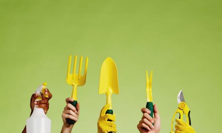 Purchaser-Generated Advertising and marketing: Resources You Can Use to Mature Your Product or service | by Max Shash | Jul, 2023