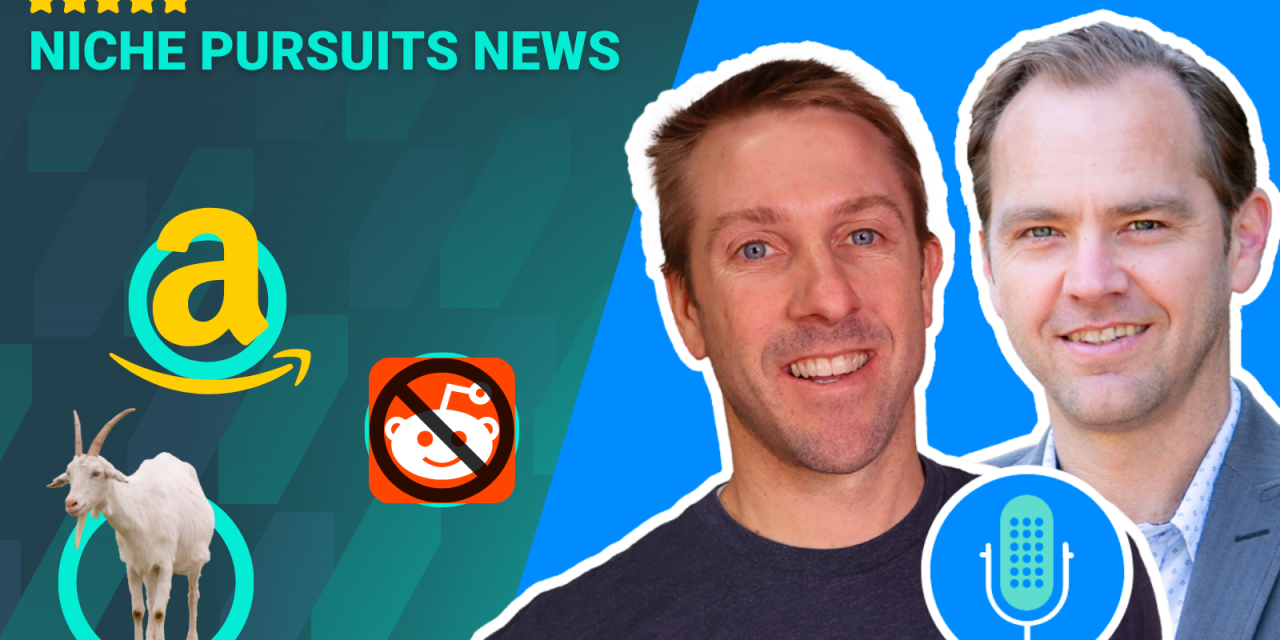 Google’s Answer to “Reddit” Queries? Amazon Influencer Updates and a Weird Niche Site About Goats